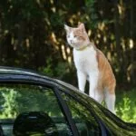 Jak powstawał pierwszy model Phantom?